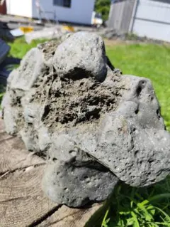 金輪寺 茶入 一星作 茶道具 共箱付 - メルカリ