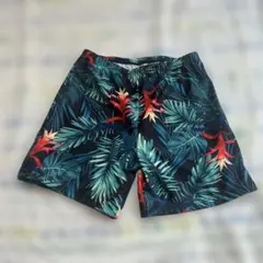 Item thumbnail for item 4154584b-cf16-4c21-9d13-e4283c6ac8bd