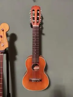 2026年最新】ギタレレ ARIAの人気アイテム - メルカリ