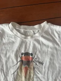 インセクトコレクションTシャツ　セミ