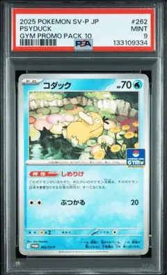 [美品]しめりけ コダック 6枚セット 24時間以内発送 2025年最新】コダック(しめりけ)の人気アイテム - メルカリ