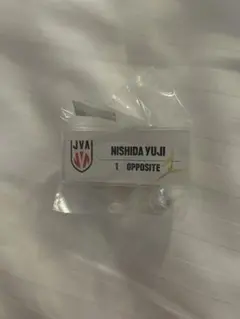 日本代表男子バレー　西田有志選手
