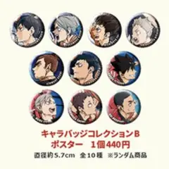 劇場版ハイキューゴミ捨て場の決戦 キャラバッジコレクションB 未開封2点