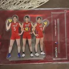 和田由紀子 バレーボール日本代表 アクリルキーホルダー - メルカリ