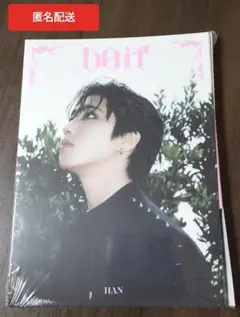 スキズ DO IT アコーディオン ハンver CD 新品未開封