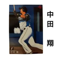 中田翔 2010年 カルビー トレーディングカード　プロ野球チップスカード