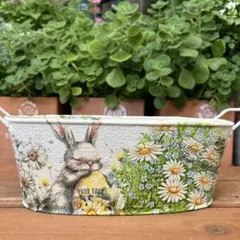 Yoさま専用　掛けプランターM たまごを抱いたうさぎさんと マーガレット② Yoさま専用 掛けプランターM たまごを抱いたうさぎさんと マーガレット