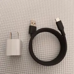 USB充電器とUSB-Cケーブルセット