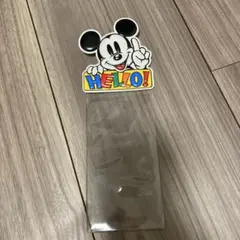 ミッキーデザイン チケットホルダー 東京ディズニーランド