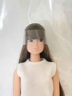 ペットワークス Today 