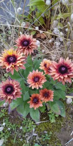 N B様 リクエスト 2点 まとめ商品