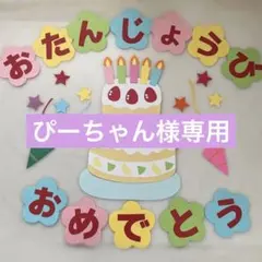 ぴーちゃん様専用