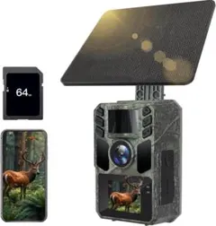 Item thumbnail for item 92c2df66-27cd-4f67-a888-3fc91b3c7caa