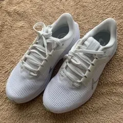 Item thumbnail for item 07c230f8-5ae0-40f9-84df-17b47d6bc0c0