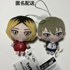 ハイキュー ぬいぐるみ ちゃーむ vol.2 木葉秋紀　孤爪研磨