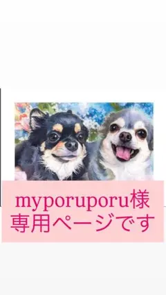 myporuporu様専用ページです！