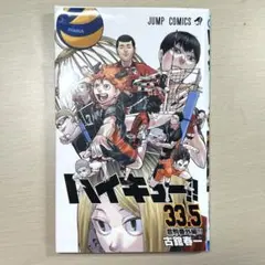 ハイキュー 33.5 音駒番外編
