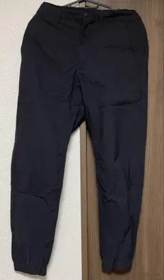 Item thumbnail for item 82d88348-8c49-4fc2-b023-edafb73095b4