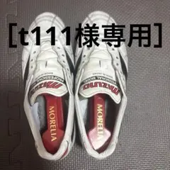 モレリア 2Japan クロスステッチ 25.5 - メルカリ