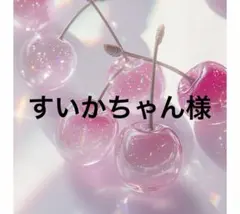 すいかちゃん様専用