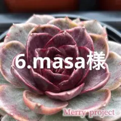 6.masa様