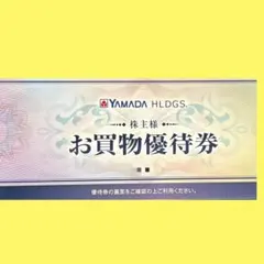 ヤマダホールディングス お買物優待券 ¥5000円分