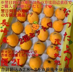 2026年最新】茂木 びわの人気アイテム - メルカリ
