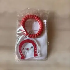 枠色アクリルキーリング　ウェルカムチャンス　JRA