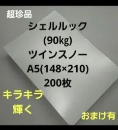 シェルルックNツインスノー(90㎏)A5、200枚、キラキラ特殊紙‼️