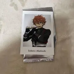 明星スバル パシャこれ