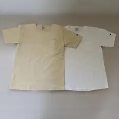 チャンピオン　T1011 ポケット　Mサイズ　2枚セット　白色　　クリーム色