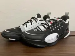 ウェイド All City 13 29cm バスケットボールシューズ 箱付き リーニン（LI-NING）（メンズ）バスケットシューズ バッシュ