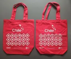 大阪関西万博 チリ館 限定 サーモボトル トートバッグ ピンバッジ等 5点セット 2025年最新】チリ館の人気アイテム - メルカリ