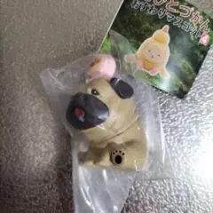 こびとづかん　おすわりマスコット4　シークレット
