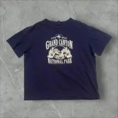 Grand Canyon ArizonaスーベニアTシャツ山自然公園
