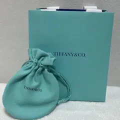 Item thumbnail for item 5b13362b-fb3a-4f85-abbc-73a93f3a62dc