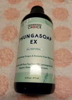 Item thumbnail for item ce412832-d937-4db3-9bea-c03b2fe3646a