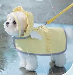 Item thumbnail for item 29b5914a-b343-4d26-a521-12fe91bc38aa