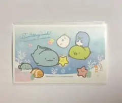 ベロナ☆様 リクエスト 2点 まとめ商品