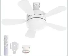 Item thumbnail for item 2d95940c-3fec-480d-888a-059a26650eac