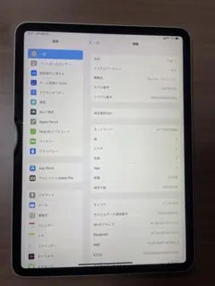 Ipad Pro 11インチ 512GB