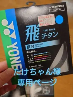 たけちゃん様専用ページ