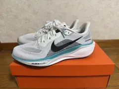 2025年最新】NIKEペガサス41の人気アイテム - メルカリ