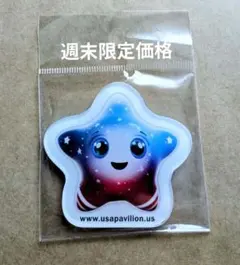 2025年最新】スパークピンバッジの人気アイテム - メルカリ