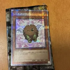 ハネクリボー 絵違い PSA10 プリズマ プリシク PSE ハネクリボー 絵違い PSA10 プリズマ プリシク PSE 遊戯王