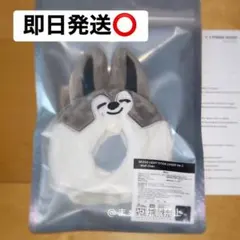 2026年最新】skzoo ペンライトカバー バンチャンの人気アイテム - メルカリ
