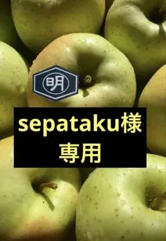 青森県産りんご【王林】413家庭用10kg sepataku様専用