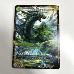 エウルブッカ　レジルエウルブッカ　　A1283