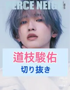 PERCE NEIGE vol.01 ／道枝駿佑　切り抜き