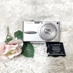 2025年最新】lumix fx30の人気アイテム - メルカリ
